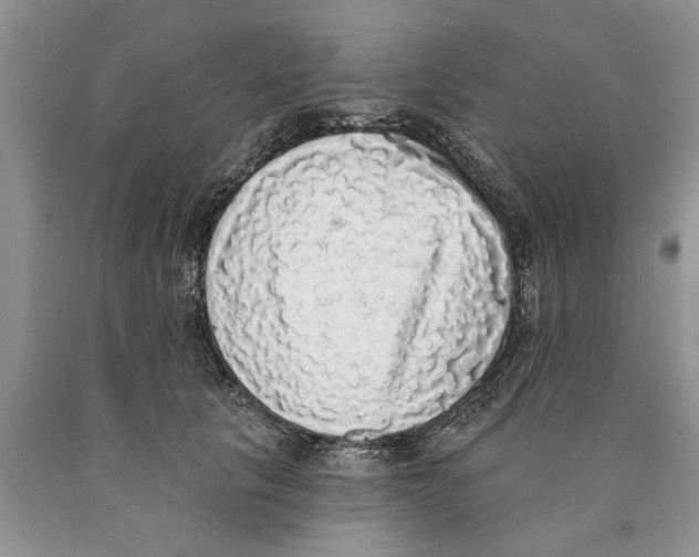 X0000089960657200707271902