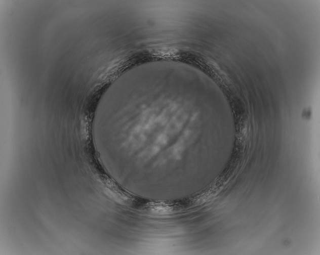 X0000089960658200707271902