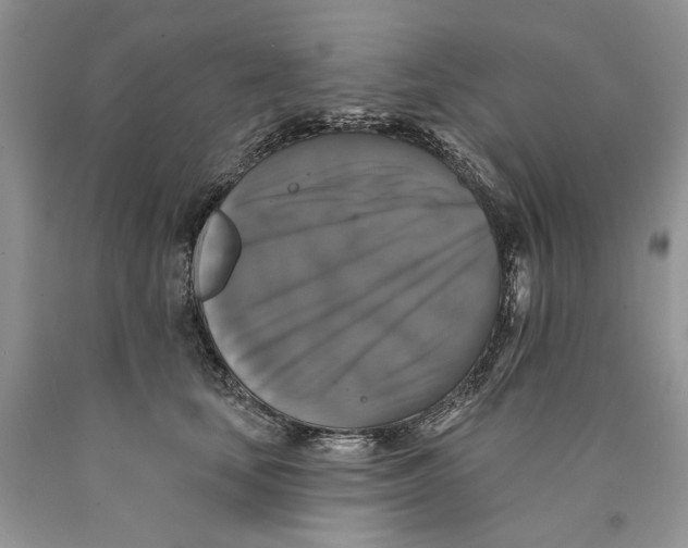 X0000089960659200707271902