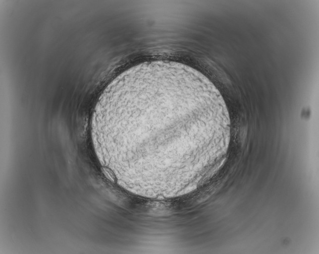 X0000089960660200707271902