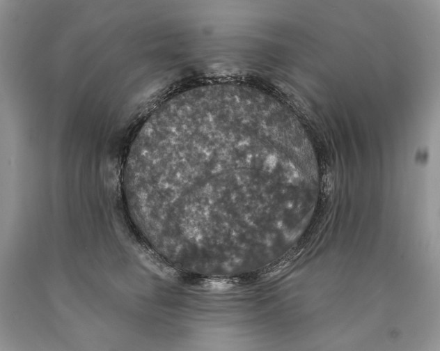 X0000089960662200707271902