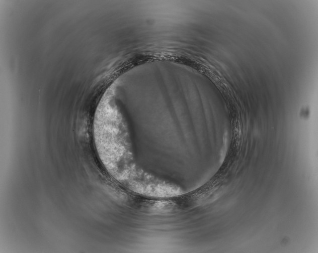 X0000089960663200707271902