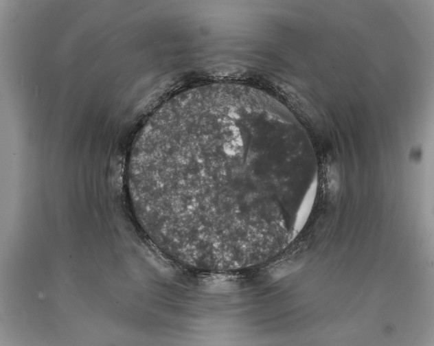 X0000089960664200707271902