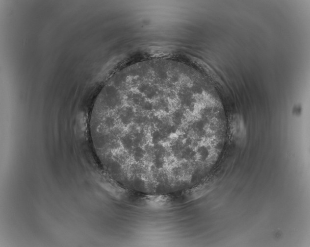 X0000089960667200707271902