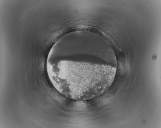 X0000089960668200707271902