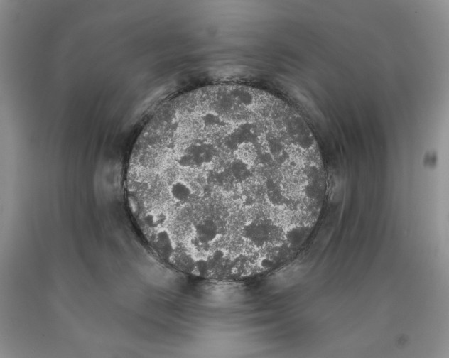 X0000089960670200707271902