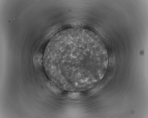 X0000089960671200707271902