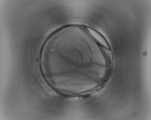 X0000089960673200707271902