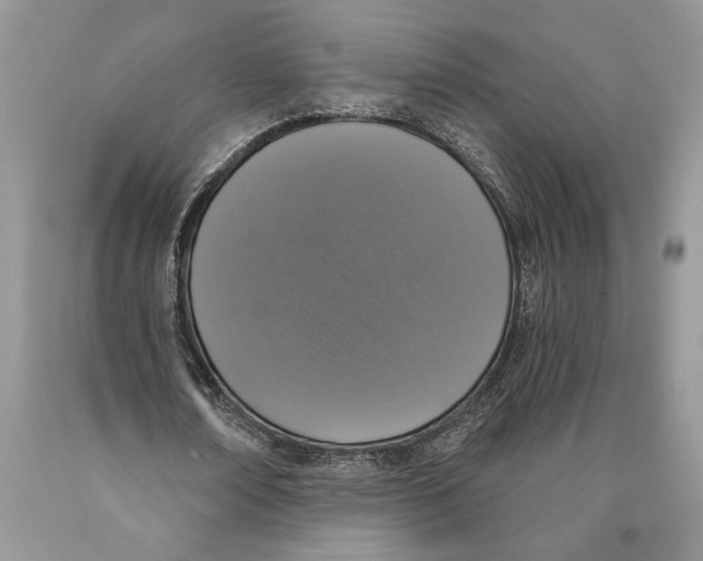 X0000089960674200707271902