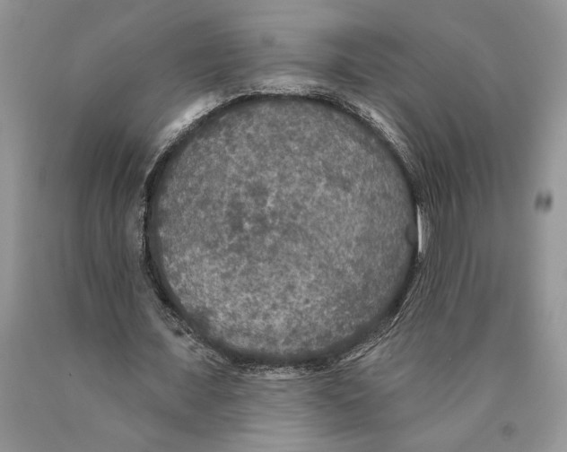 X0000089960675200707271902