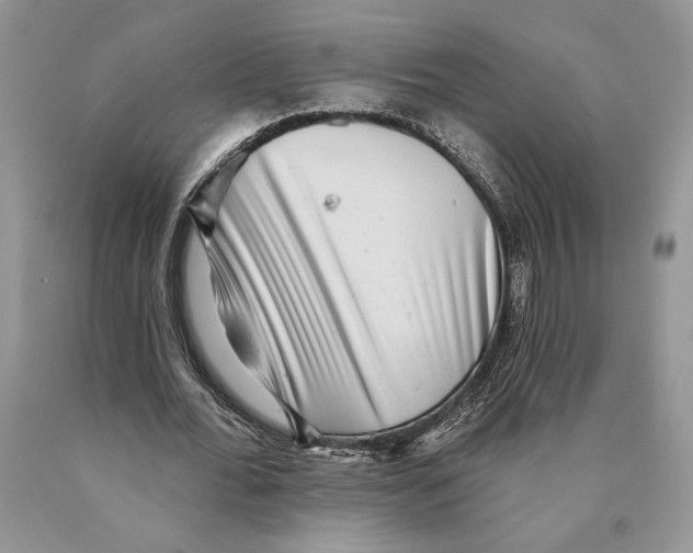 X0000089960676200707271902