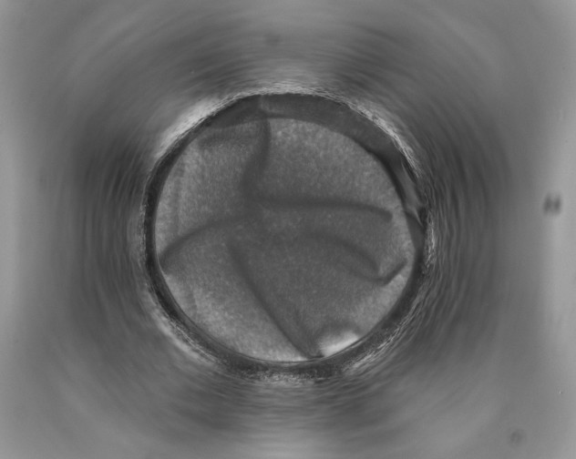 X0000089960677200707271902