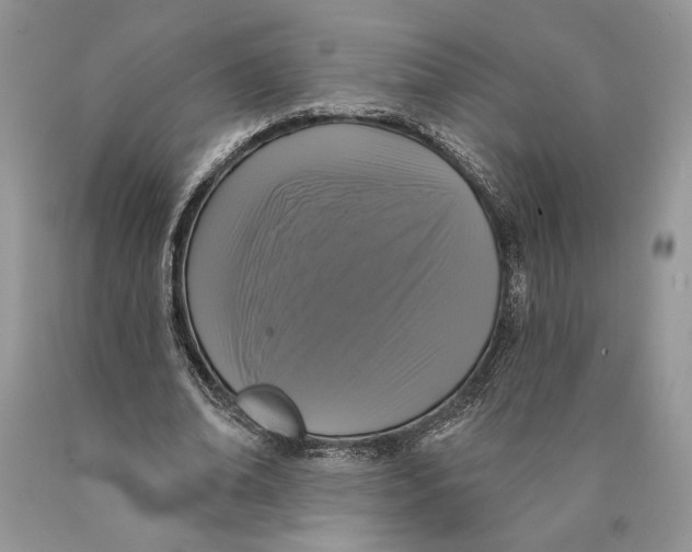 X0000089960678200707271902