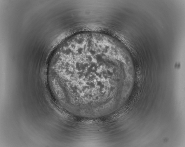 X0000089960679200707271902