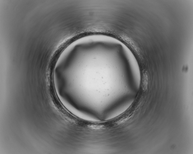 X0000089960680200707271902