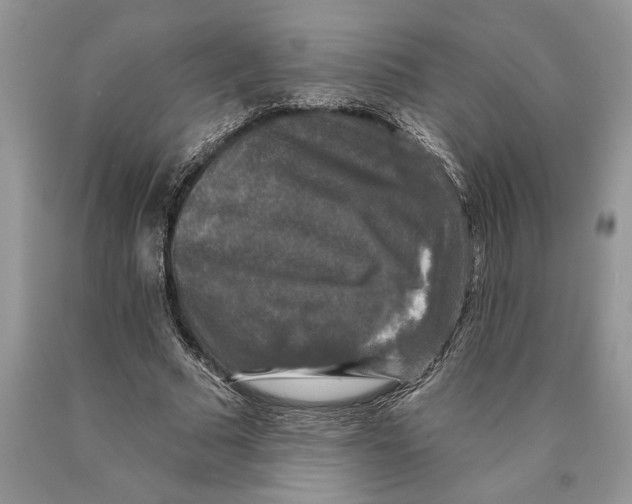 X0000089960681200707271902