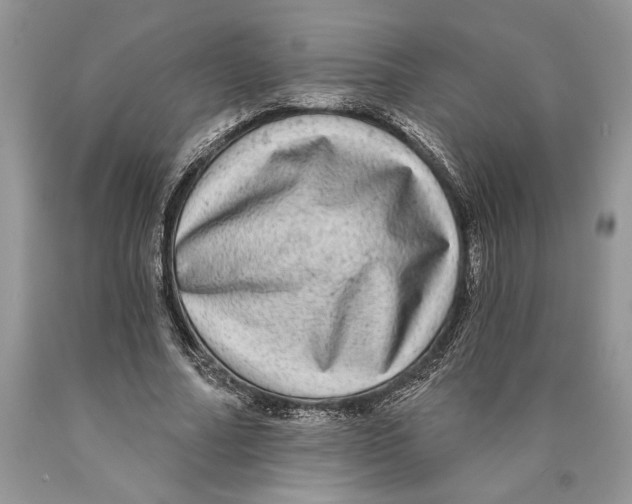 X0000089960682200707271902