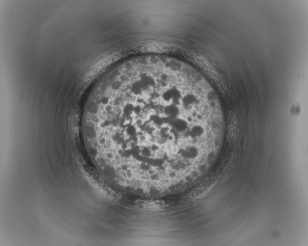 X0000089960683200707271902