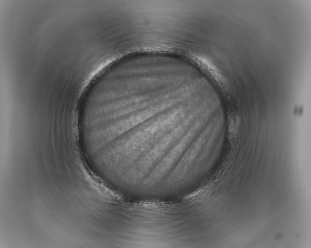 X0000089960684200707271902