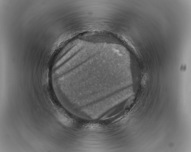 X0000089960685200707271902