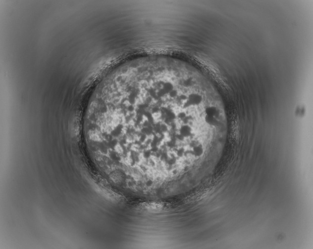 X0000089960687200707271901