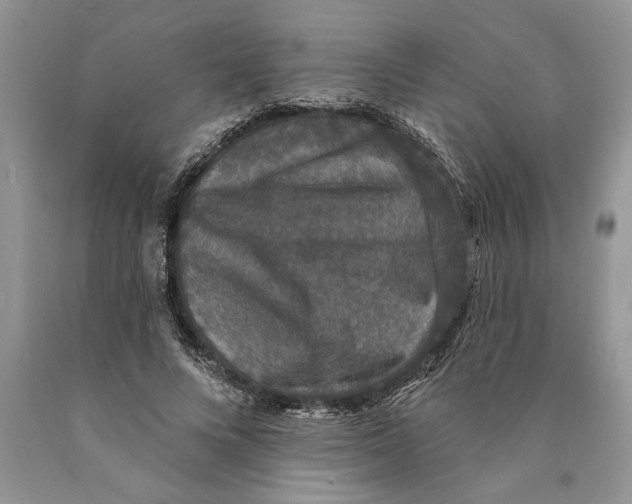 X0000089960688200707271901