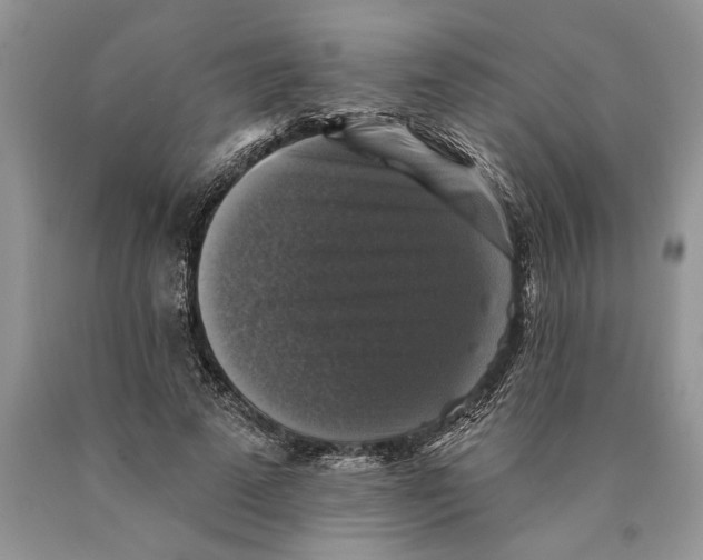 X0000089960689200707271901