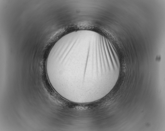 X0000089960690200707271901