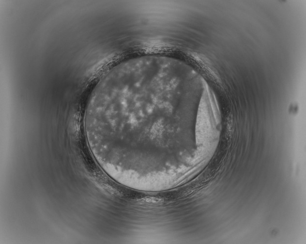 X0000089960691200707271901