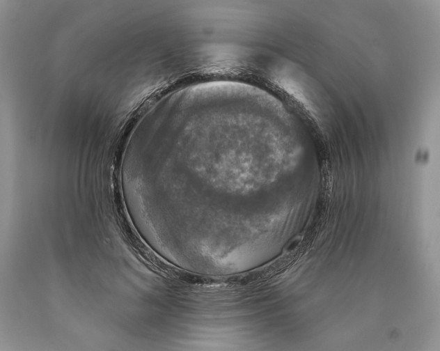 X0000089960692200707271901