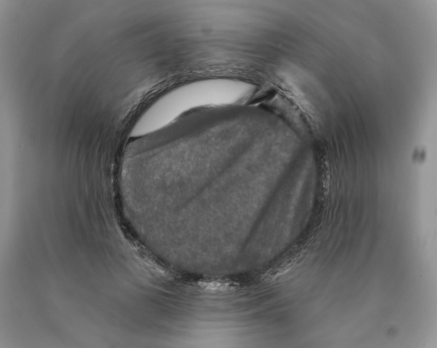 X0000089960693200707271901