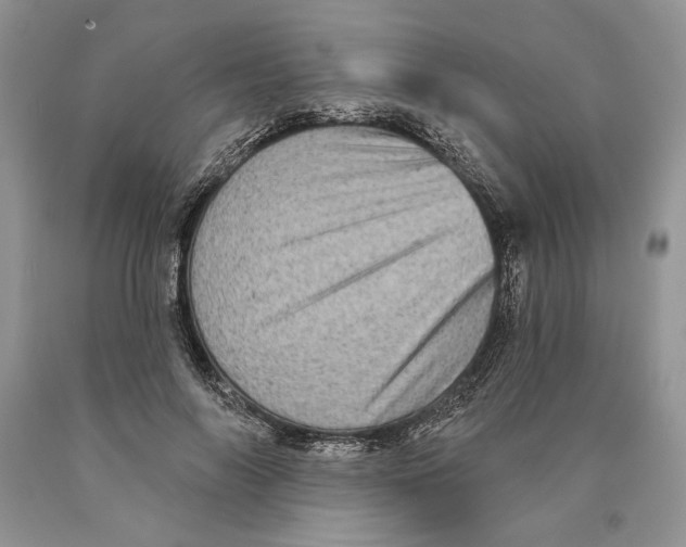 X0000089960694200707271901