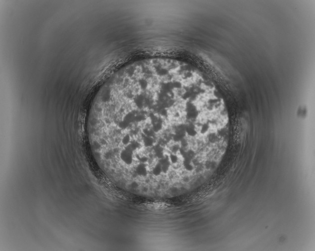 X0000089960695200707271901