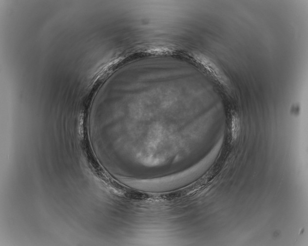 X0000089960696200707271901