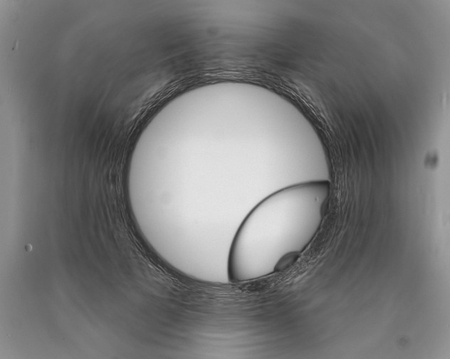 X0000089960697200707271901