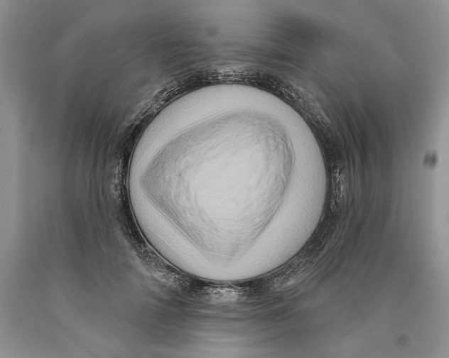 X0000089960698200707271901