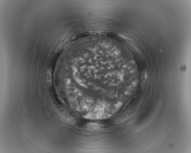 X0000089960699200707271901