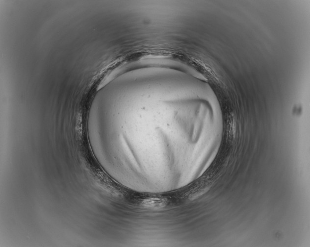 X0000089960700200707271901