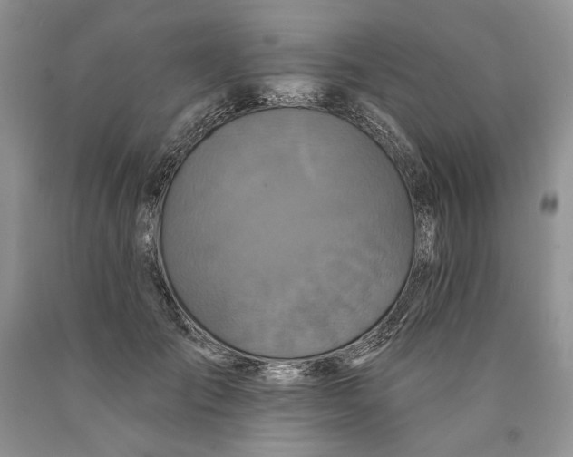 X0000089960701200707271901