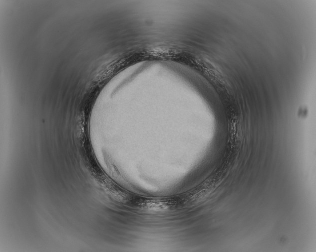 X0000089960702200707271901