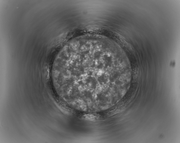 X0000089960703200707271901