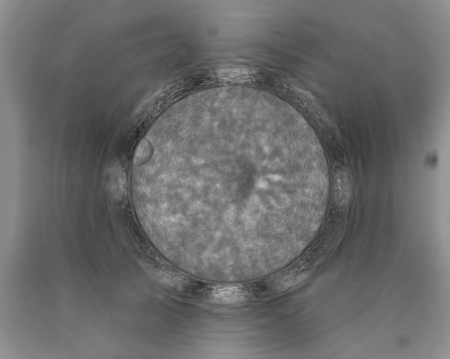 X0000089960705200707271901