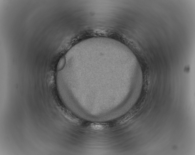 X0000089960706200707271901