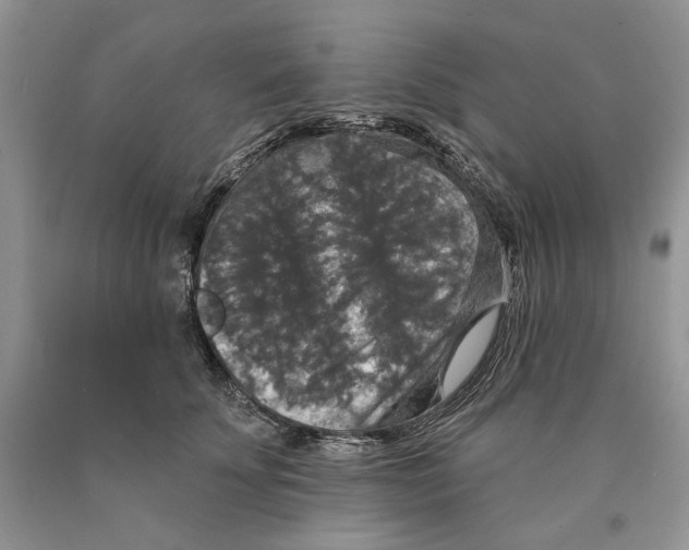 X0000089960707200707271901