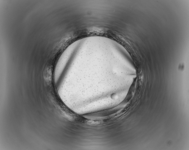 X0000089960708200707271901