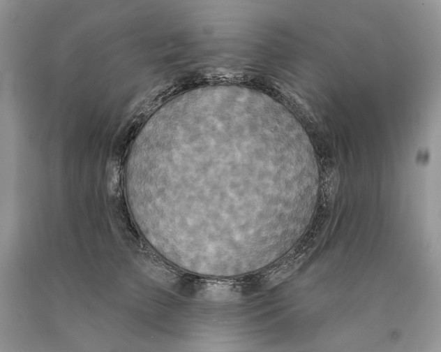 X0000089960709200707271901