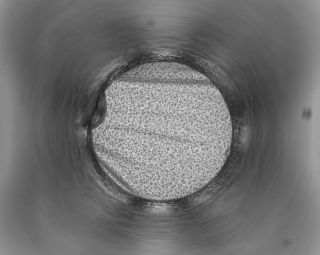 X0000089960710200707271901