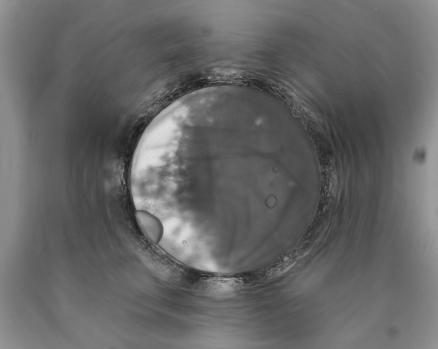 X0000089960711200707271901