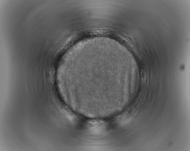 X0000089960712200707271901