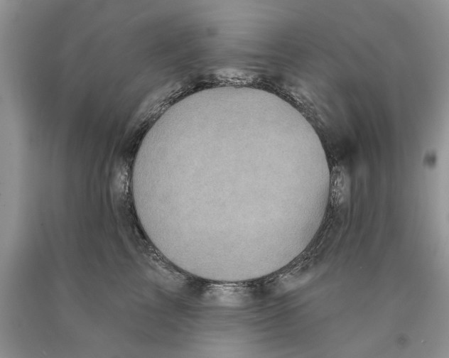 X0000089960713200707271901